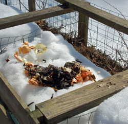 Compost in winter